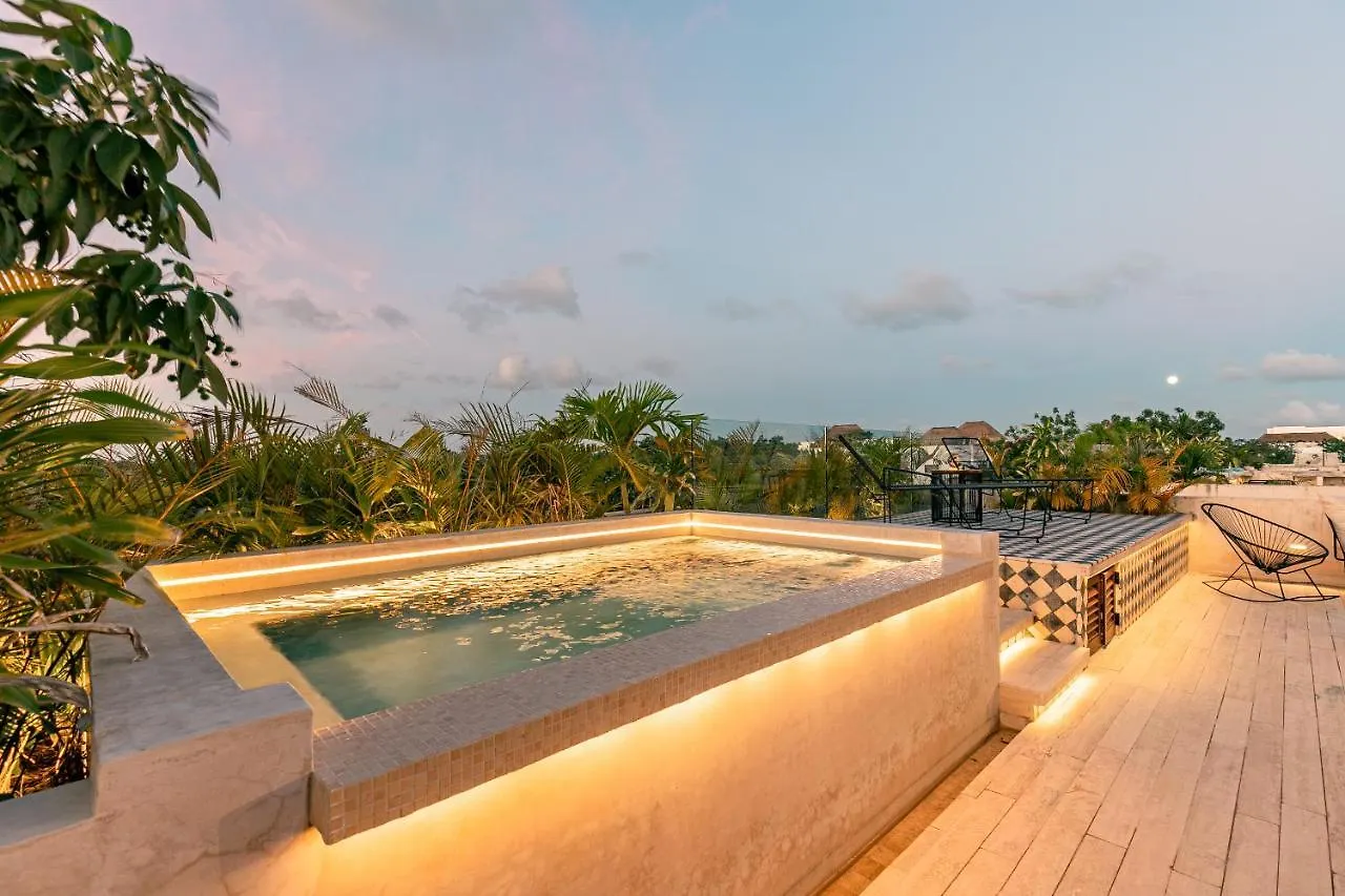 403 Stunning Rooftop Apartment For Couples W/Private Pool Tulum